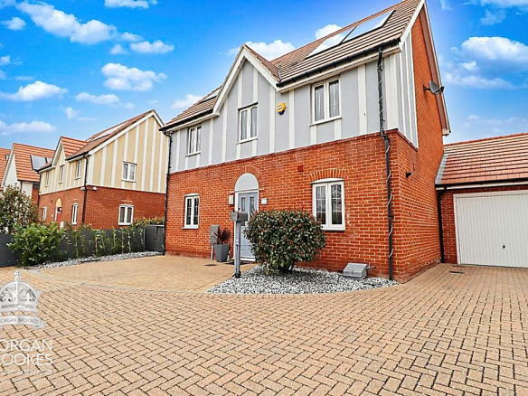 Barnmead Meadow, Grays